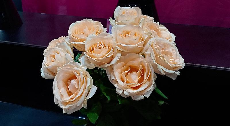 玫瑰 翡翠香檳 (圖片1)