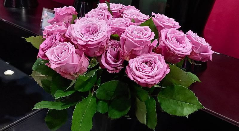 玫瑰 天堂紫 (圖片4)