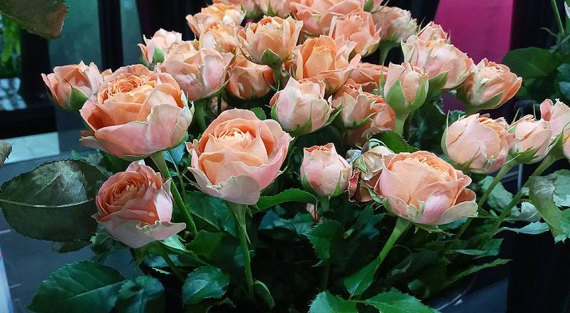 玫瑰 心動果汁 (圖片3)