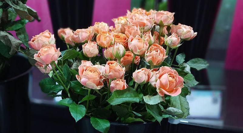 玫瑰 心動果汁 (圖片9)