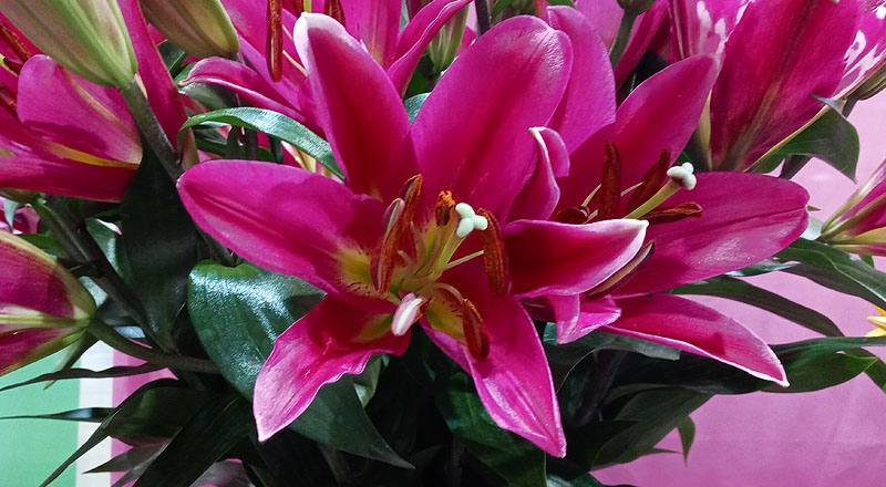 OT試金石 (圖片4)