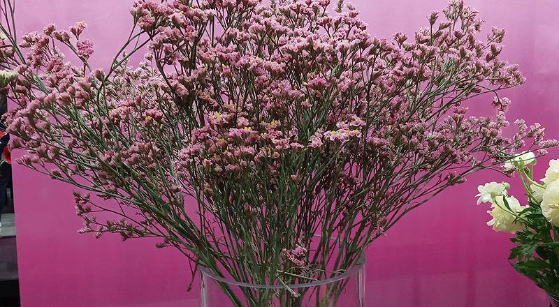 水晶花 粉鑽 (圖片1)